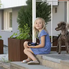 Flicka Hund