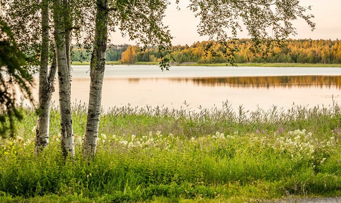 Natur Luleå