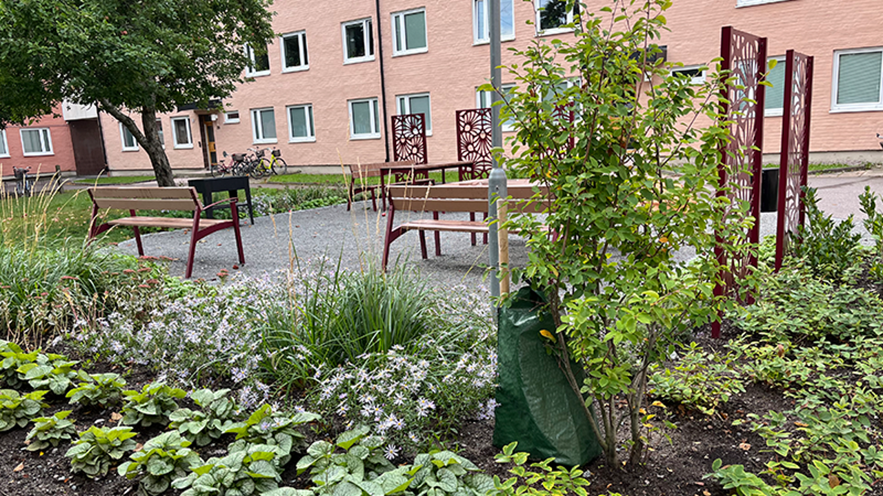 Innergård Plantering