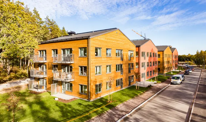 Rönnbäret 1 11